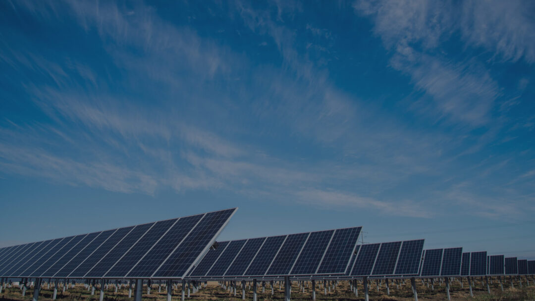 Rows of ground-mounted solar panels under a bright blue sky.