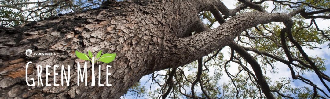 EvoEnergy's Green Mile campaign