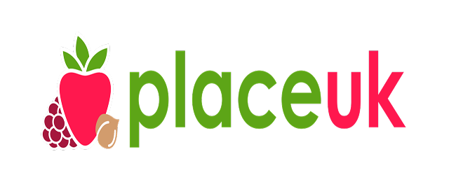 Place UK Logo Case Study