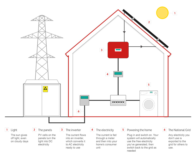 How Do Solar Panels Work? Diagram & Step by Step | EvoEnergy