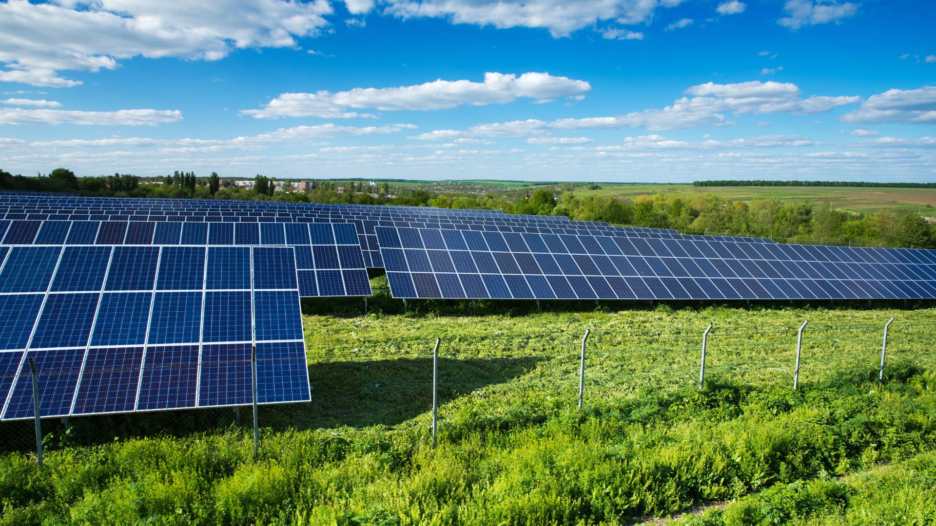 solar panels in a field on a warm day in the UK bought through leasing