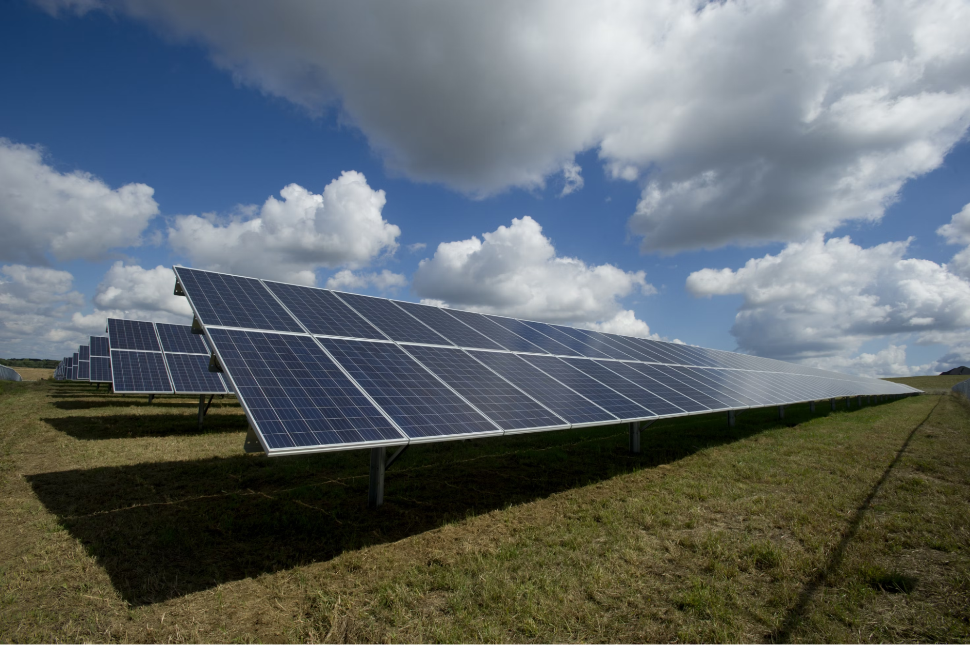 North-facing solar panels installed on a green field.