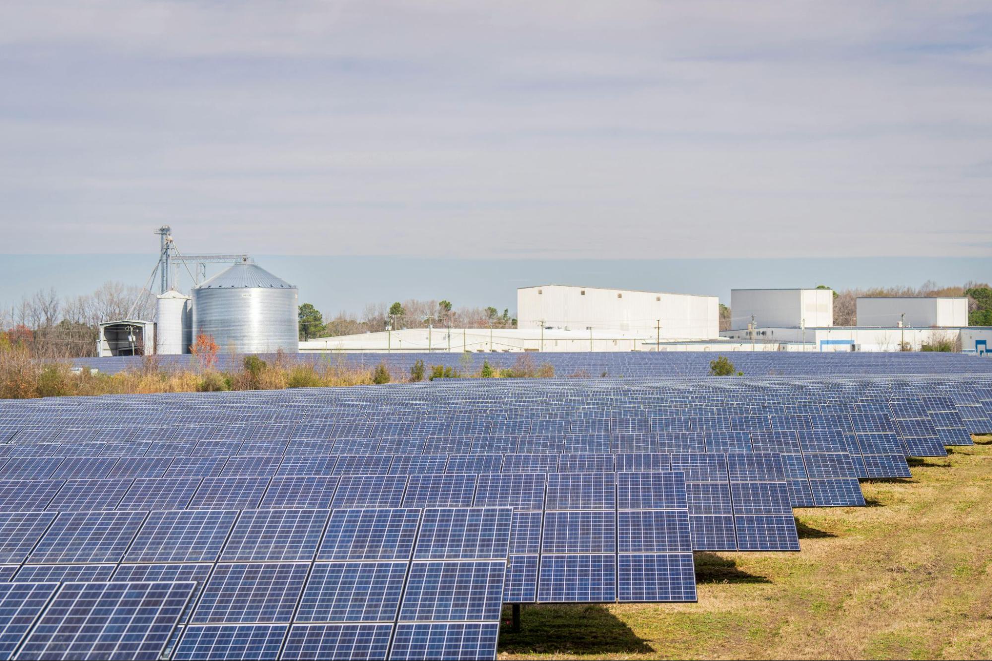 A field filled with solar panels, symbolizing the advancement of renewable energy technology