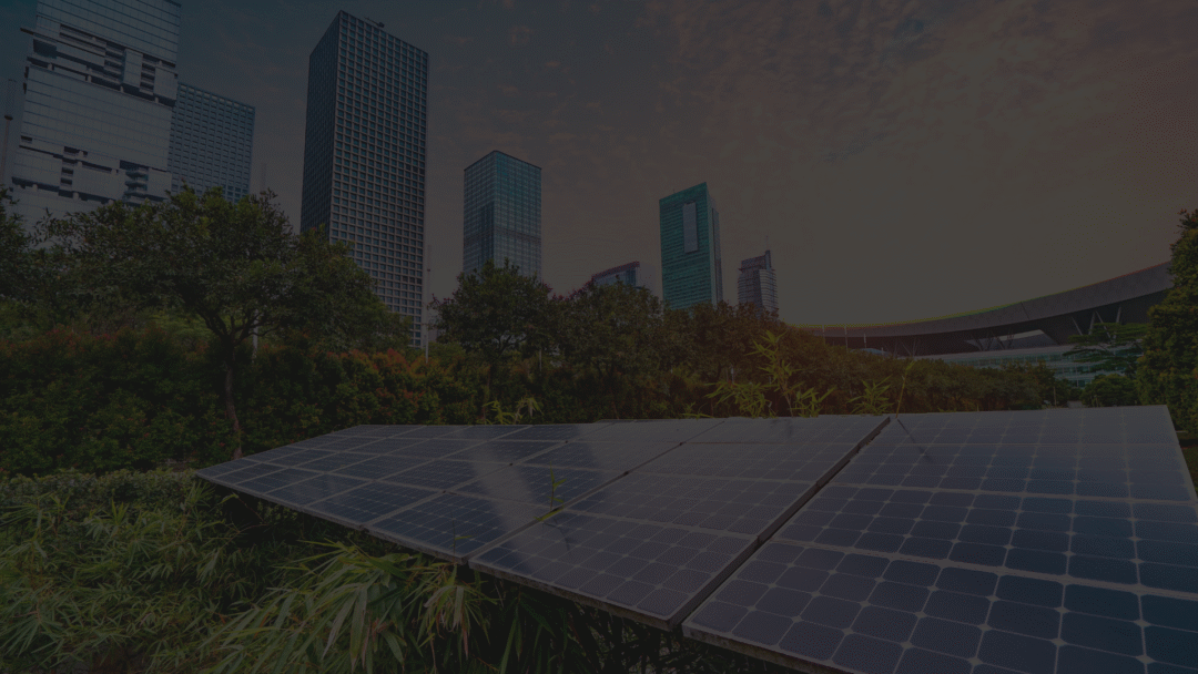 Close-up aerial view of a flat-roof commercial building covered with rows of dark blue solar panels, with windows and landscaped grounds visible along the sides.