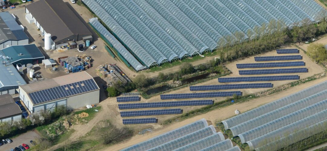 Aerial view of a farm site with solar panels installed on open land and rooftops beside multiple polytunnel greenhouses.