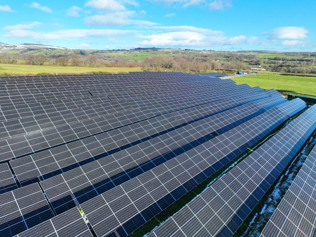 Sun-soaked field transformed into a vibrant solar energy farm.